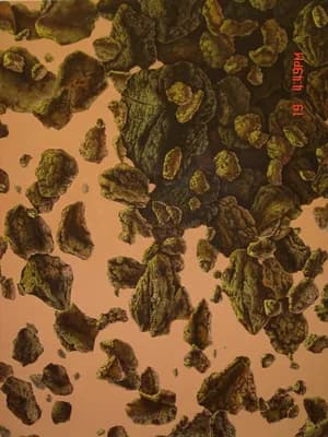 岩石 by Li-jia Fan