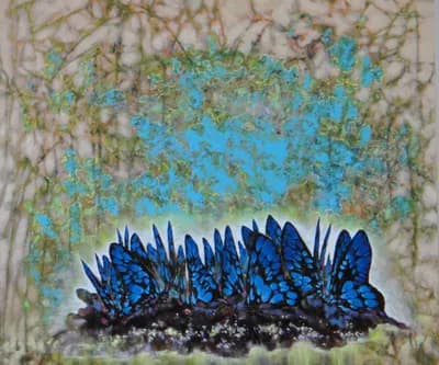 群蝶 by Li-jia Fan